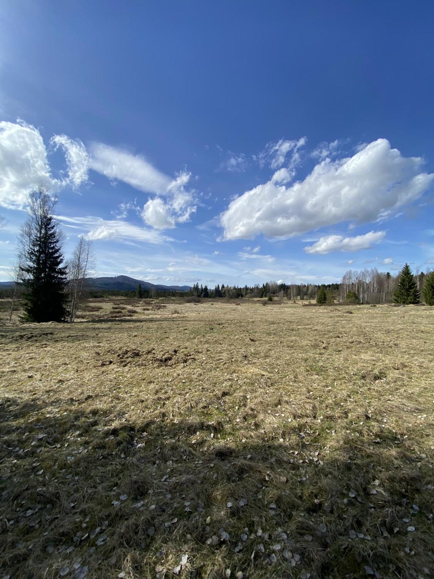 Apartmán Nad Soutokem Volary Exteriér fotografie