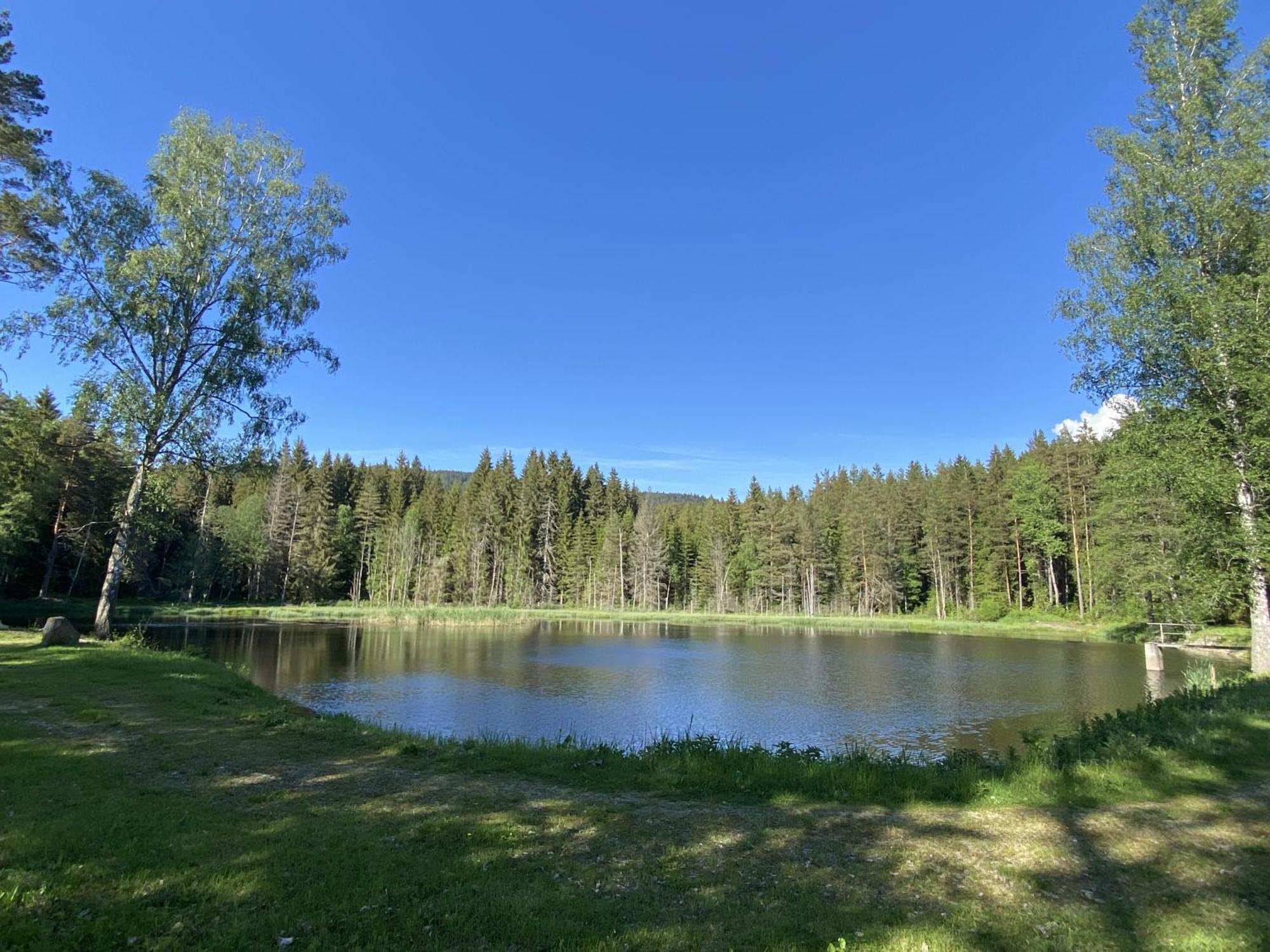 Apartmán Nad Soutokem Volary Exteriér fotografie