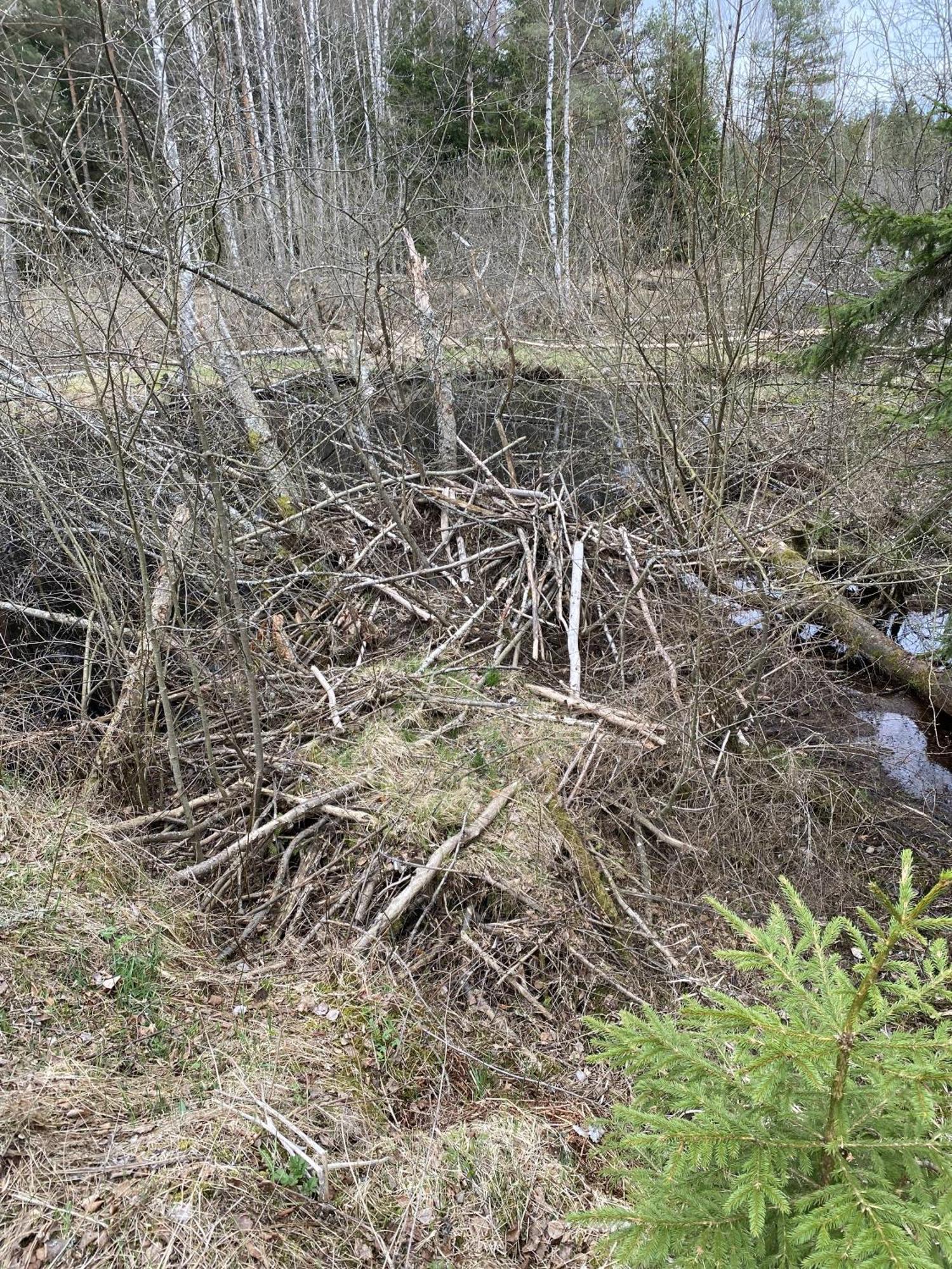 Apartmán Nad Soutokem Volary Exteriér fotografie